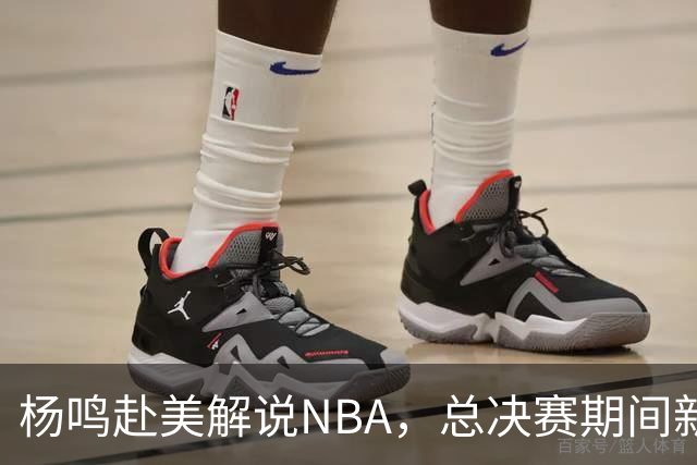 杨鸣赴美解说NBA，总决赛期间新角色与薪酬曝光