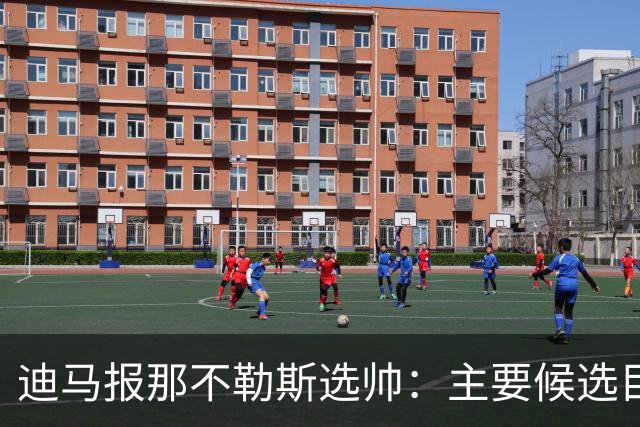 迪马报那不勒斯选帅：主要候选目标是伊达利诺和阿莱格里
